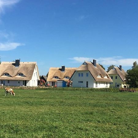Reetdachhaeuser Boergerende Luaran gambar