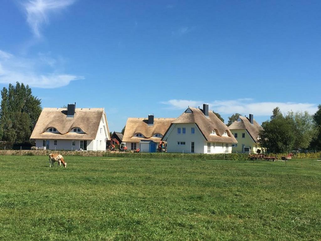 Reetdachhaeuser Boergerende Luaran gambar